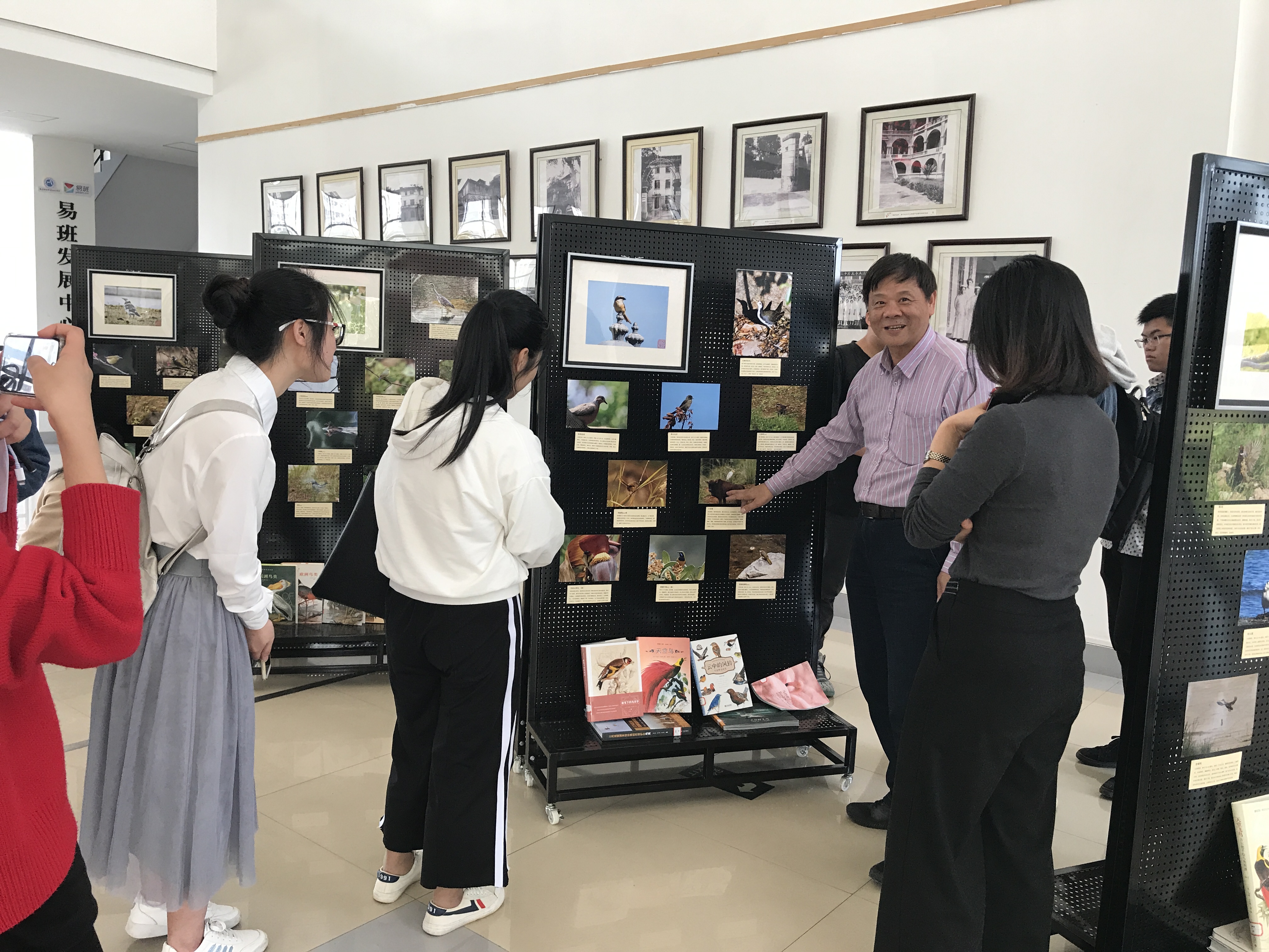png电子平台